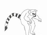 Lemur Drawing Tailed Getdrawings Ring sketch template