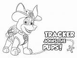 Patrol Paw Tracker Pups Colouring Pup Pobarvanke Everest Scribblefun Rubble Named sketch template
