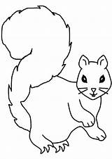 Coloring Squirrel sketch template