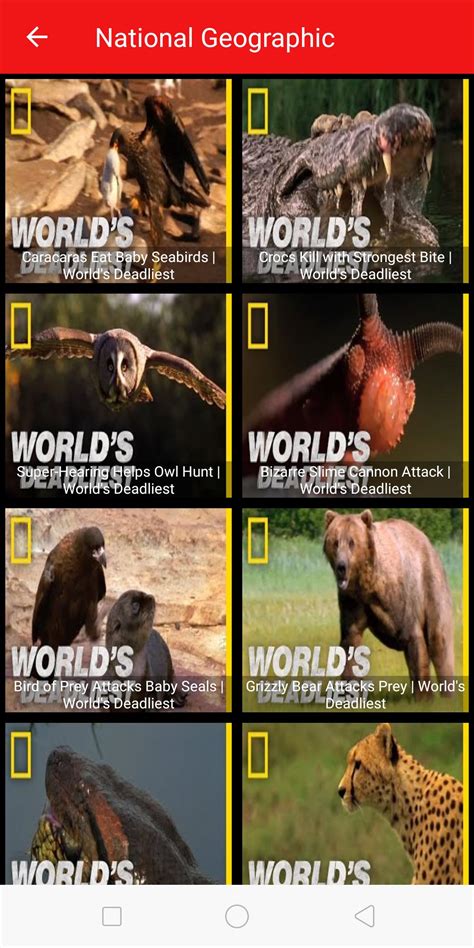 world geographic  documentaries apk  android