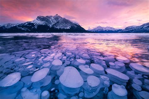 abraham lake   artificial lake  north saskatchewan river