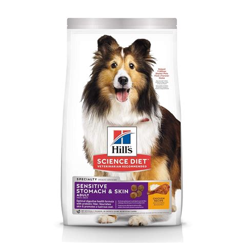 dog food  allergies  comprehensive guide