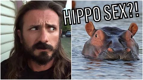 The Strange And Disgusting Facts About Hippo Sex Youtube