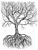 Tree Drawing Roots Root Vector Drawings Getdrawings Paintingvalley Hand sketch template