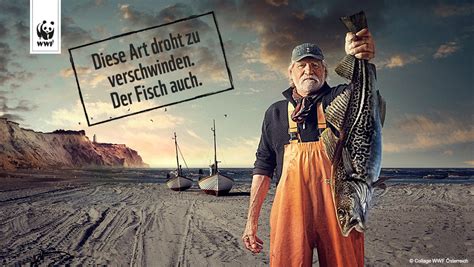 wwf deutschland  twitter ueberfischte meere haben fatale