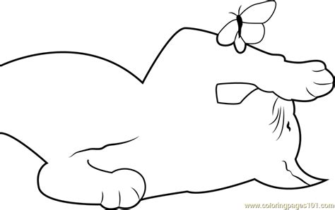 cat playing  butterfly coloring page  cat coloring pages