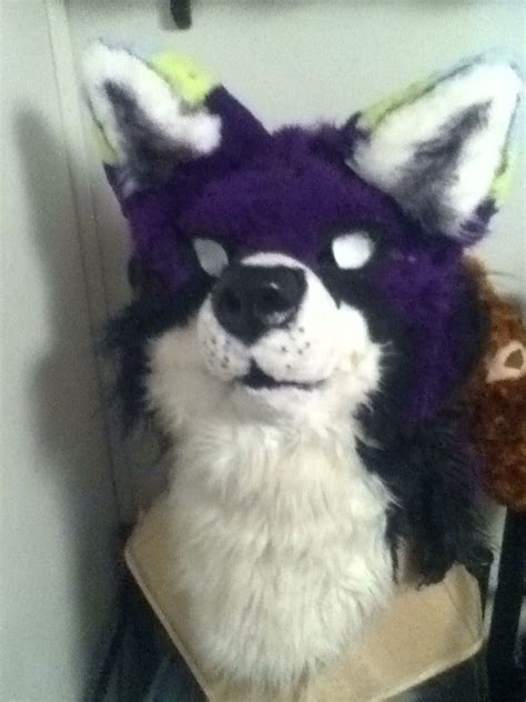 purple fox fursuit head  sale    wolven hybrid  deviantart