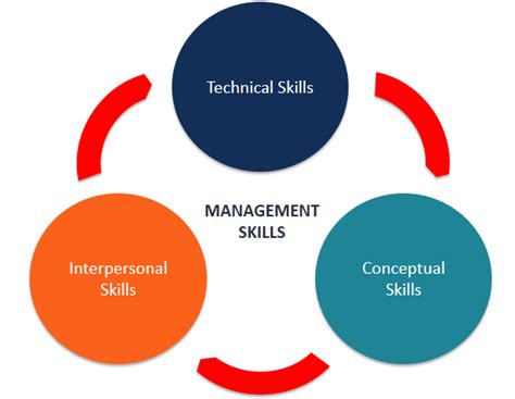 technical human  conceptual skills  management   st century