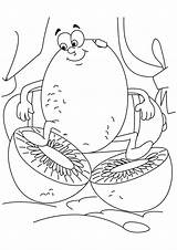 Kiwi Kolorowanki Dzieci Colorir Imprimir Divertido Ausmalbild Colorat Tudodesenhos Ausmalbilder Fructe Exotice Fruta Planse Kategorien sketch template