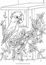 Coloring Birds Pages Dover Bird Publications Book Printable Animal Books Creative Haven Adult Doverpublications Sheets Color Beautiful Drawings Welcome Print sketch template