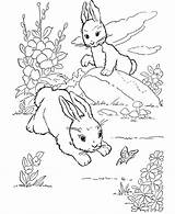 Coloring Winter Pages Animal Popular Snow sketch template