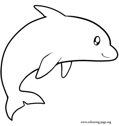 dolphins cute dolphin jumping coloring page