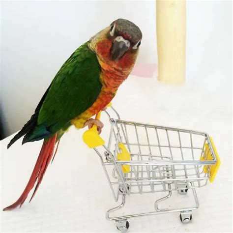 large parrot toy bird supermarket shopping intelligence cart kids growth box funny pet birds