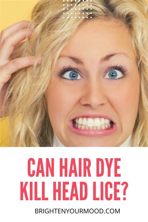hair dye  kill head lice dyed hair hair science hair care