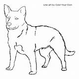 Dog Coloring Cattle Australian Pages Heeler Blue Line Color Drawings Own Kids Standing Designlooter Sketch 48kb 500px Aussie Template sketch template