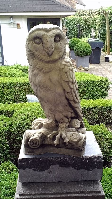 uil beton bij  heerenhuys  susteren sculptures lion sculpture owl statue bird