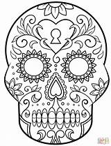 Coloring Skull Sugar Dead Pages Template Mosaic Muertos Colorear Dia Para Printable Calavera Los Templates Halloween Imagen sketch template