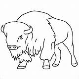 Bison Coloring Cartoon Pages Coloringbay sketch template