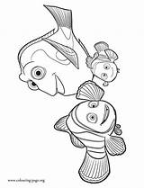 Dory Pages Nemo Marlin Findet Dorie Pintar Malvorlagen Ausmalen Hank Ausmalbilder Fische sketch template