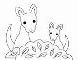 Kangaroos sketch template