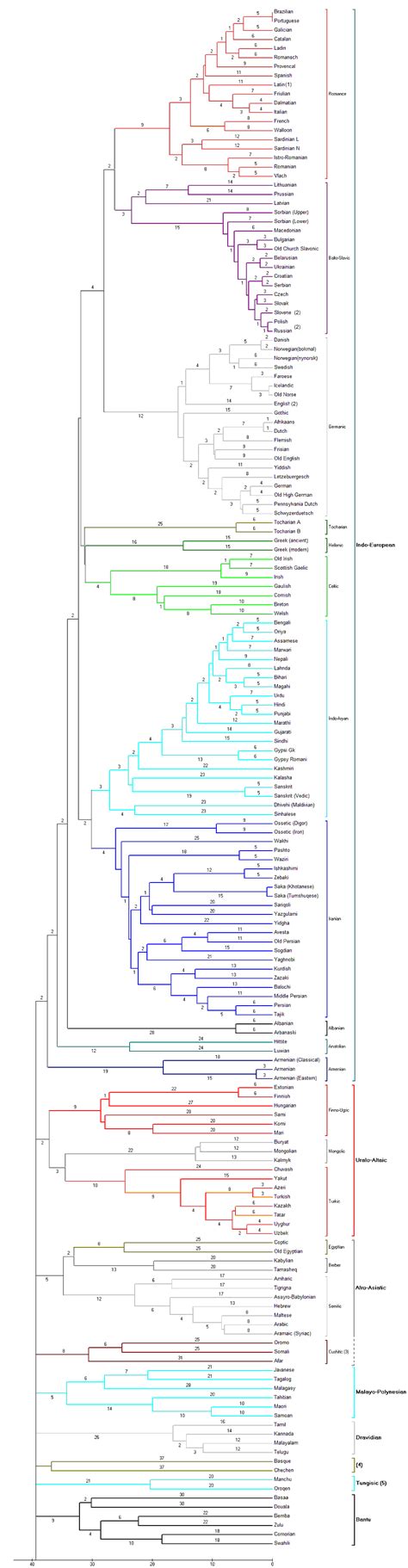 language tree  details  elinguistics