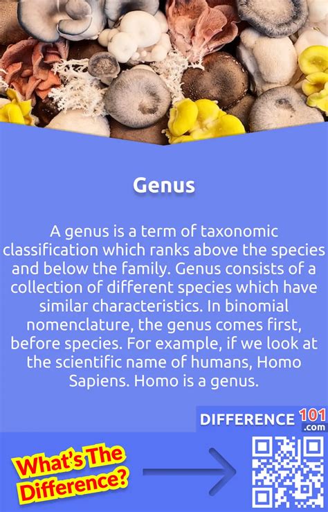 genus  species  key differences pros cons examples difference