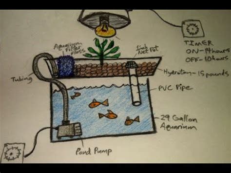 aquaponics  dummies  easiest diy indoor aquaponic