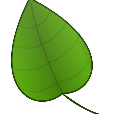 leaf clipart greenery leaf greenery transparent