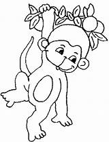 Monkey Coloring Pages Baby Tree Kids Hanging Monkeys Cute Printable Drawing Clipart Chubby Color Print Acacia Animal Getcolorings Hand Getdrawings sketch template