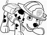 Marshall Truck Fire Coloring Patrol Paw Divyajanani sketch template