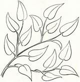 Branch Leaf Step Tutorial Drawinghowtodraw Individual sketch template