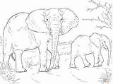 Elephant Baby Drawing African Mother Coloring Color Pages Super Draw Cartoon Elephants Printable Animals sketch template