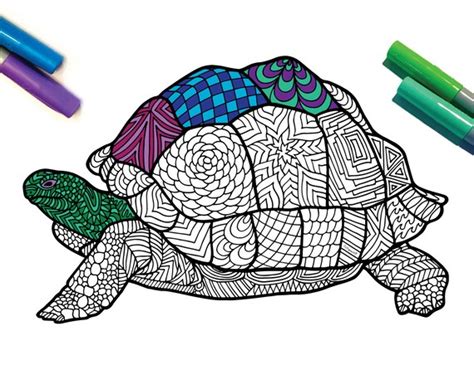 tortoise coloring pages  printable coloring pages
