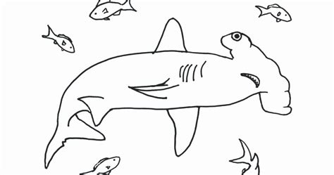 zombie shark coloring pages franklin morrisons coloring pages
