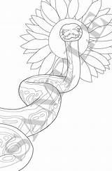 Python Reptile sketch template