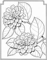 Coloring Pages Flowers Book Para Flower Adult Dover Engraving Laser Colorir Drawing Sheets Adultos Publications Adults Language Desenhos Colouring Dibujos sketch template