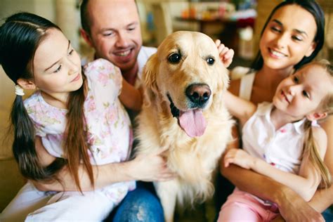 family friendly dog breeds life  tips