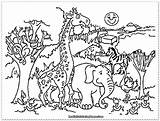 Safari Coloring Animals Pages Baby Animal Getdrawings sketch template