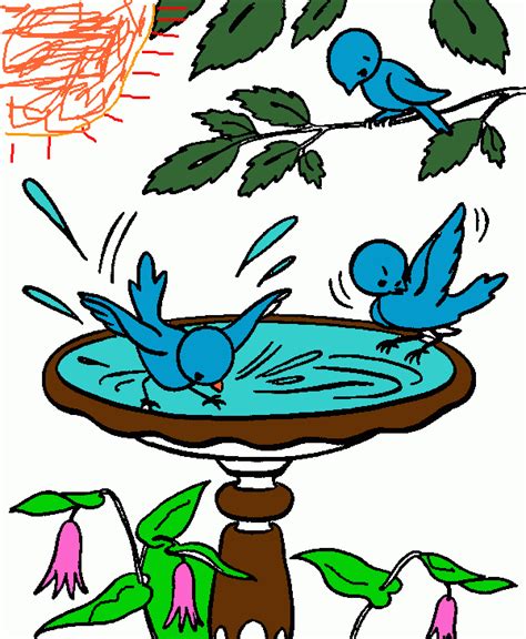 bird bath coloring page printable bird bath