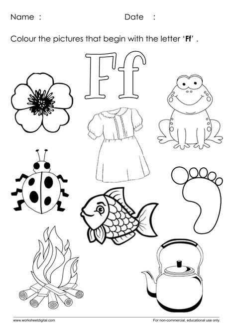 letter  worksheet  kindergarten worksheet digital