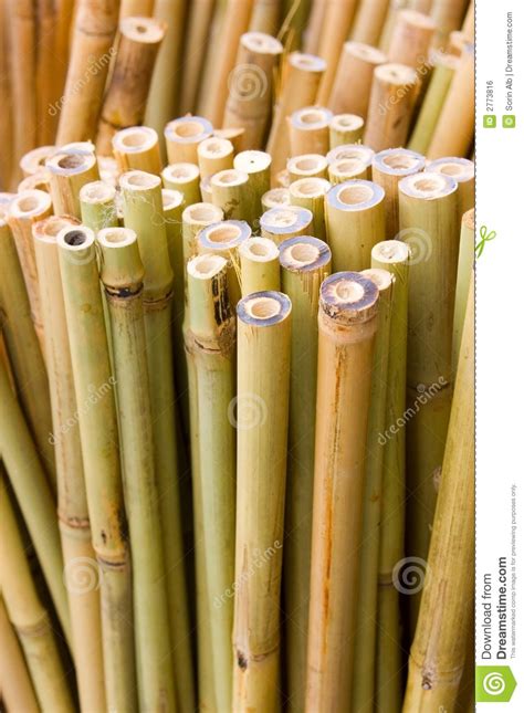 bamboo sticks bamboo valance photo