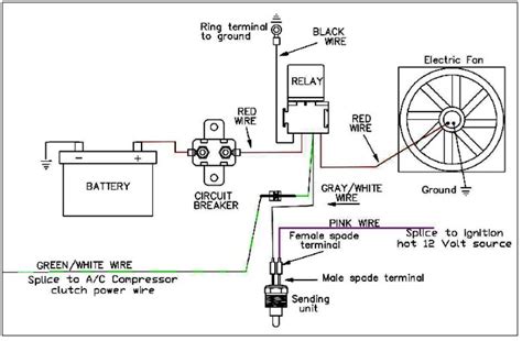 dual electric fan wiring diagram