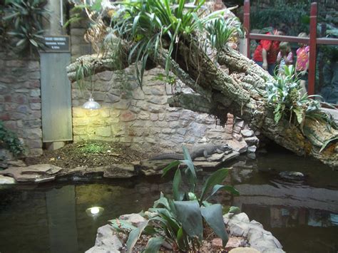 reptile house  zoochat