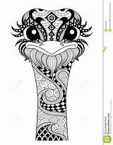 Zentangle Ostrich Drawn Hand Colouring Tattoo Shirt Vector Logo Coloring sketch template
