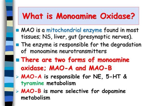 monoamine oxidase inhibitors powerpoint