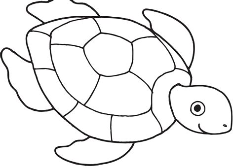 coloringkidsnet turtle drawing sea turtle drawing turtle coloring