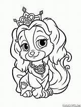 Puppy Coloring Pages Little Kids Pets Colorkid Royal Girls Print Big sketch template