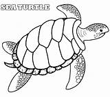 Loggerhead Tortugas Turtles Tortuga Marinas Shell Cool2bkids Clipartmag Marina Tortoise Paginas sketch template