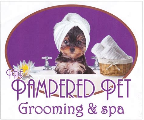 pampered pet grooming spa   pet groomers brentwood