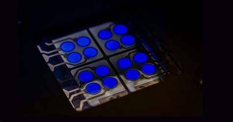 fluorescent blue emitter  oled devices substantial efficiency boost